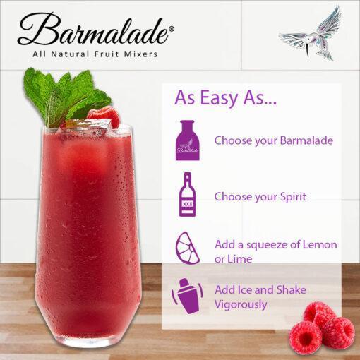 Raspberry-Hibiscus Barmalade 10oz-All Natural Cocktail Mixer - Image 3