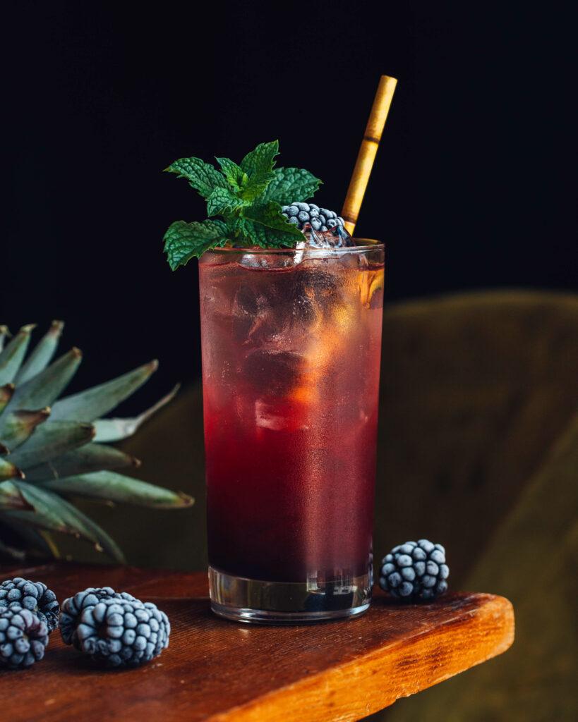 blackberry mint mojito rum mixed drinks