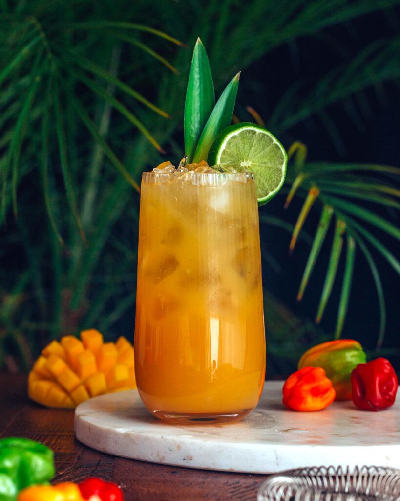 spicy mango colada rum drink recipes