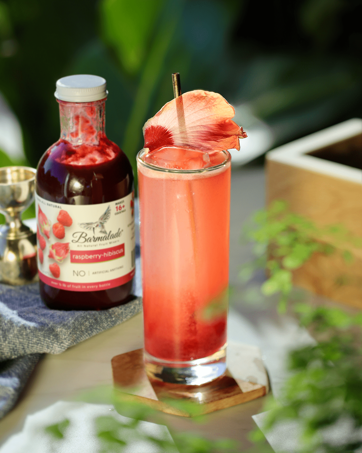 Red Raspberry Lemonade Recipe